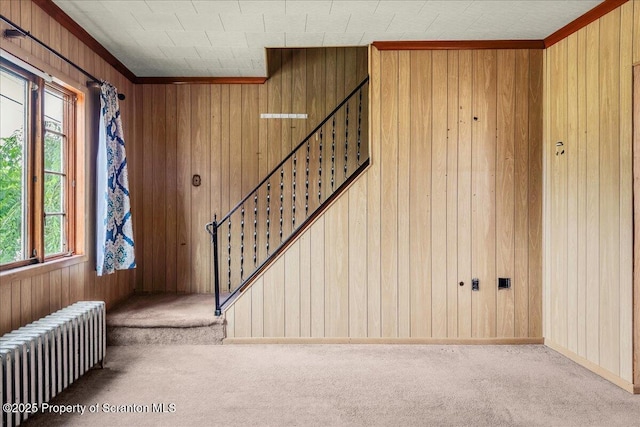 205 Lackawanna Ave, Duryea, PA 18642 - stairs with radiator heating unit, carpet, and wooden walls