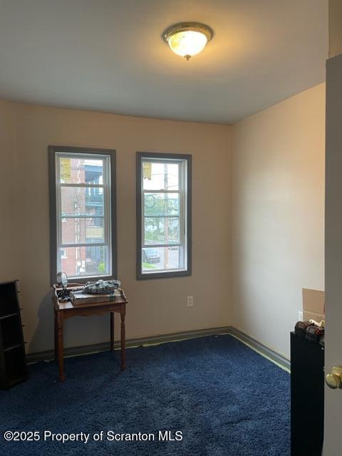 302-304 S Irving Ave, Scranton, PA 18505 - photo 15