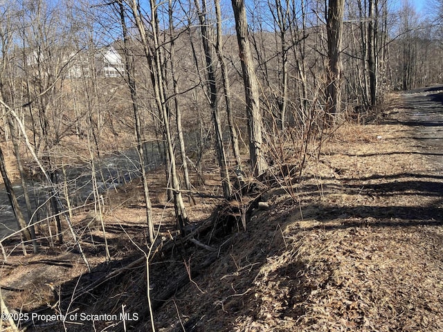 2 Lord Ave, Simpson, PA 18407 - photo 53