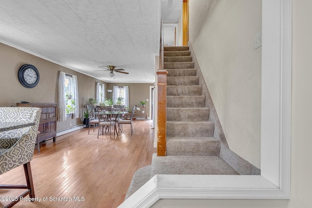 50 Humphrey St Unit 50-51, Old Forge, PA 18518 - stairs with a baseboard radiator, wood finished floors, a ceiling fan, and crown molding
