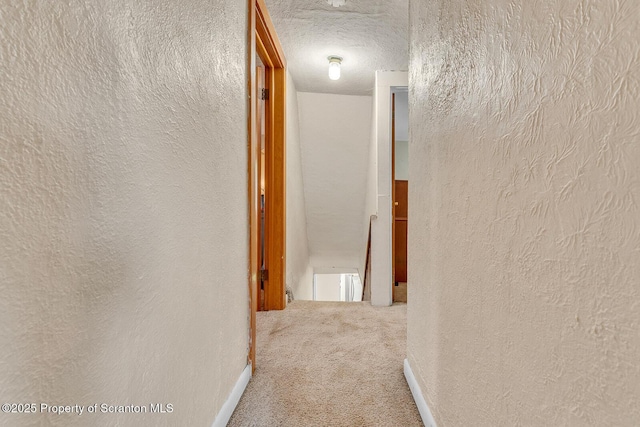 50 Humphrey St Unit 50-51, Old Forge, PA 18518 - hallway with a textured wall, carpet flooring, and a textured ceiling