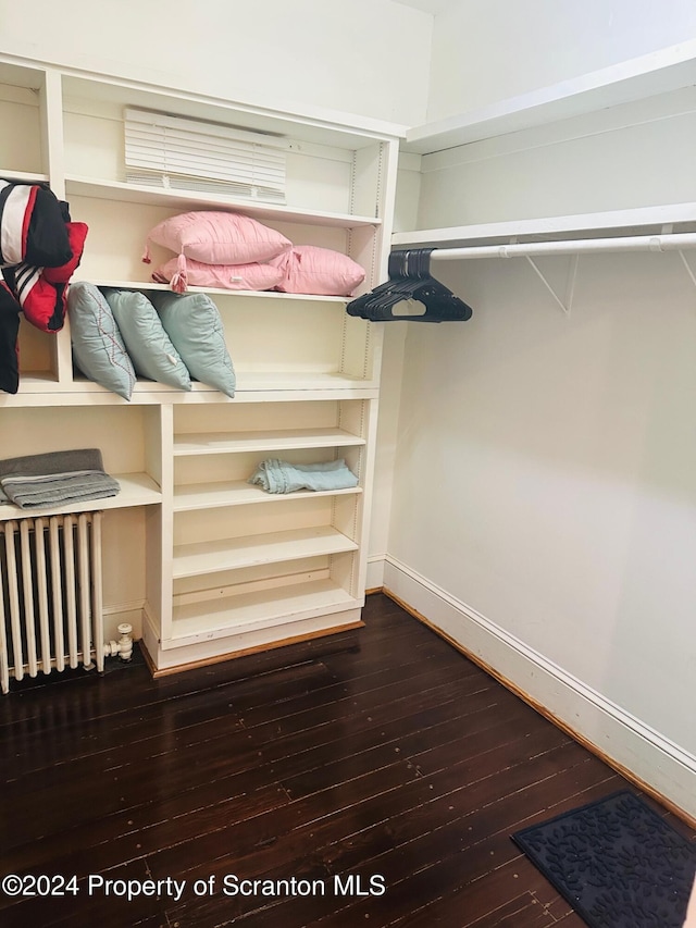 spacious closet with radiator heating unit and hardwood / wood-style flooring