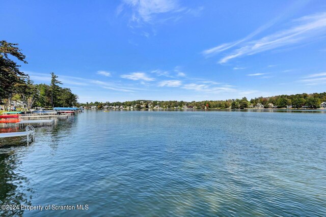 property view of water with a boat dock