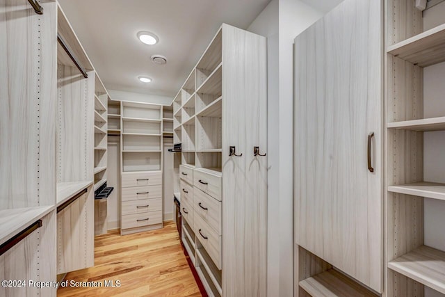 walk in closet featuring light hardwood / wood-style flooring