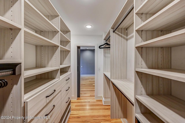 spacious closet with light hardwood / wood-style flooring