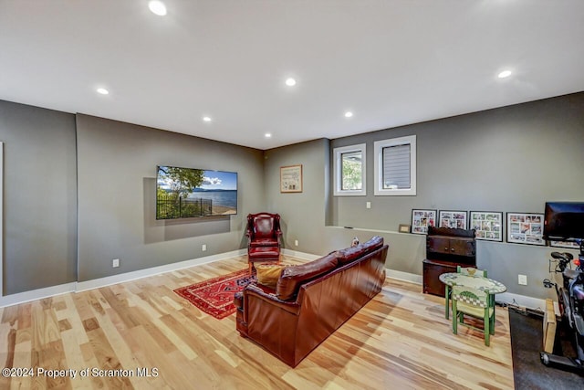 cinema room featuring light hardwood / wood-style floors