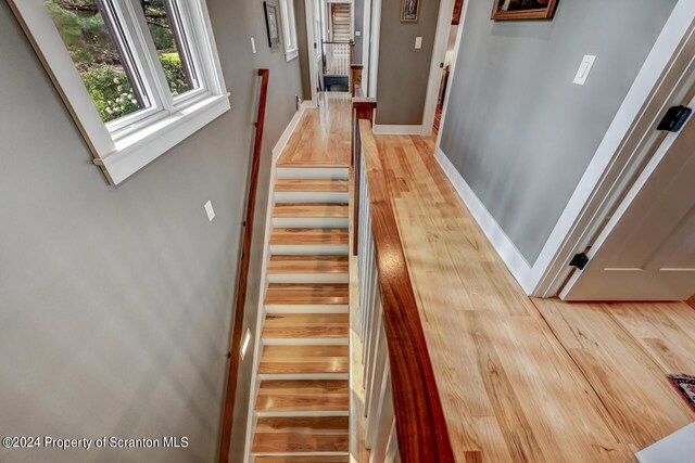 stairs with hardwood / wood-style flooring