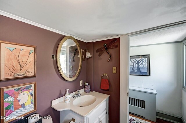 bathroom featuring crown molding and vanity