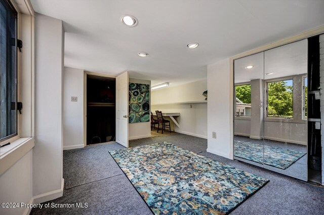 interior space with carpet floors