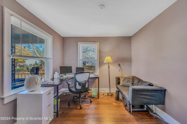 office area featuring hardwood / wood-style flooring