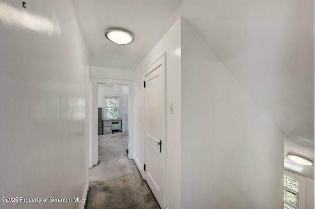 212 Lake Scranton Rd, Scranton, PA 18505 - hallway featuring carpet flooring