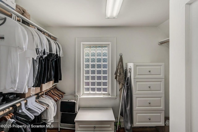 212 Lake Scranton Rd, Scranton, PA 18505 - view of spacious closet