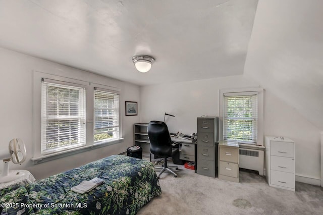 212 Lake Scranton Rd, Scranton, PA 18505 - office space with radiator, healthy amount of natural light, and light carpet