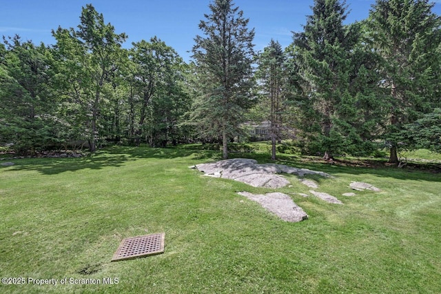 212 Lake Scranton Rd, Scranton, PA 18505 - view of grassy yard