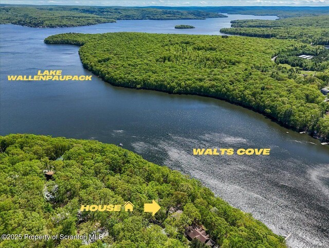 86 Paupack Point Rd, Hawley, PA 18428 - drone / aerial view of a heavily wooded area and a large body of water