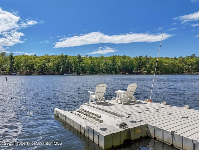 86 Paupack Point Rd, Hawley, PA 18428 - dock area with a water view and a forest view