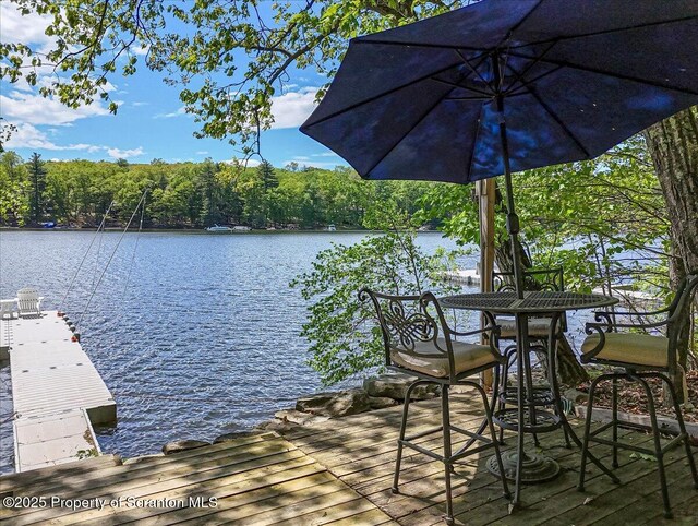 86 Paupack Point Rd, Hawley, PA 18428 - dock area with a water view and a view of trees
