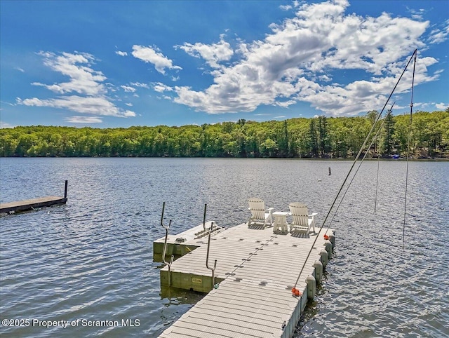 86 Paupack Point Rd, Hawley, PA 18428 - dock featuring a water view and a forest view