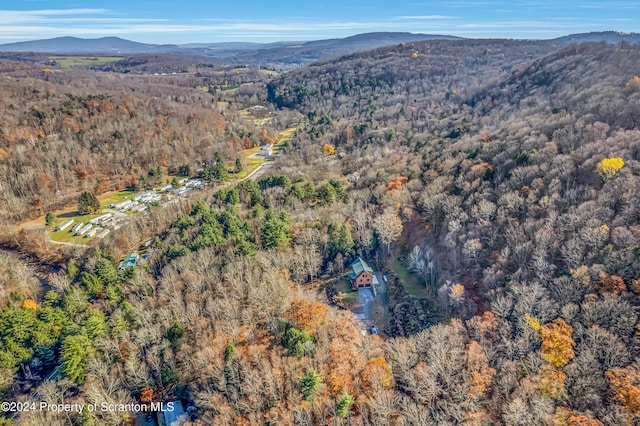 birds eye view of property with a mountain view