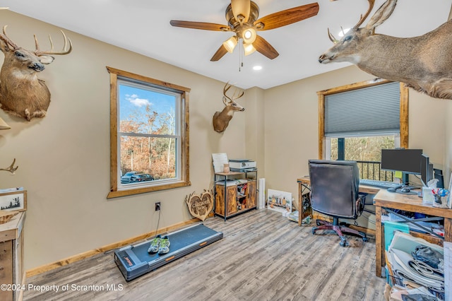 home office with ceiling fan and light hardwood / wood-style flooring