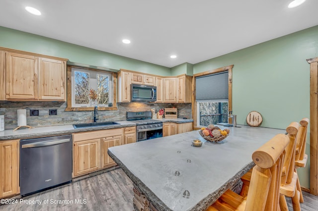 kitchen featuring sink, stainless steel appliances, plenty of natural light, and light brown cabinets