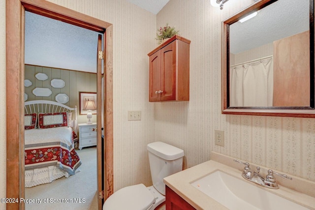 bathroom featuring vanity, a textured ceiling, and toilet