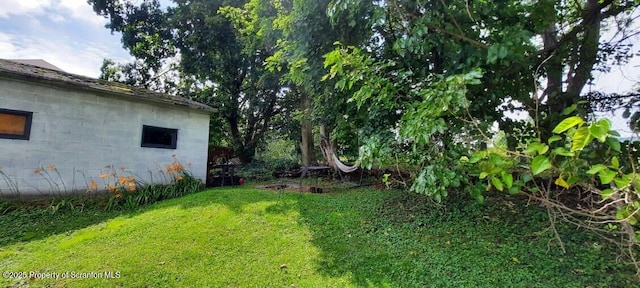 1809 Washburn St, Scranton, PA 18504 - view of green lawn