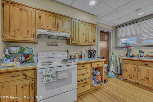 kitchen with light wood-type flooring, white range with electric stovetop, a drop ceiling, and sink