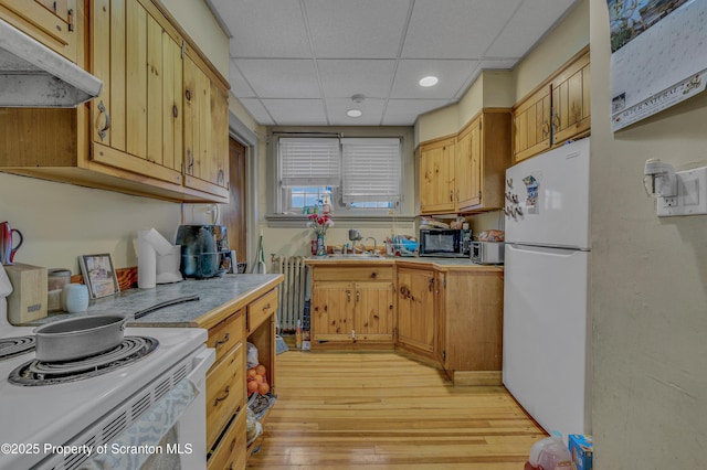 kitchen with a drop ceiling, exhaust hood, white fridge, radiator, and light wood-type flooring