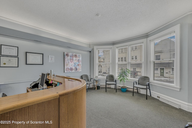 carpeted office featuring crown molding and a textured ceiling