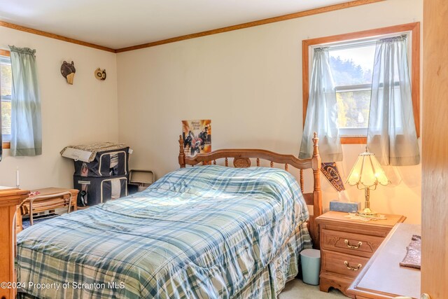 bedroom featuring crown molding