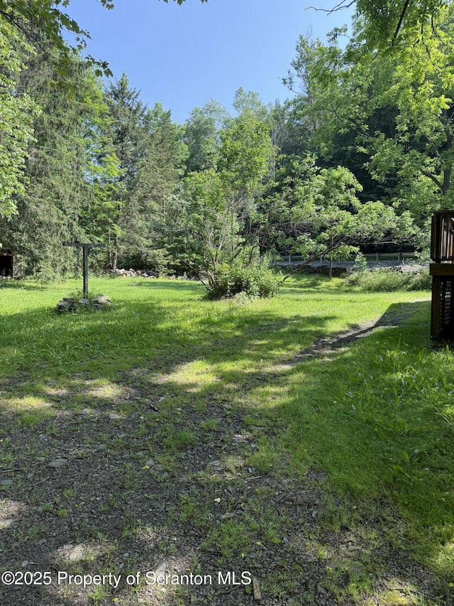 12 Whites Rd, Dalton, PA 18414 - photo 22