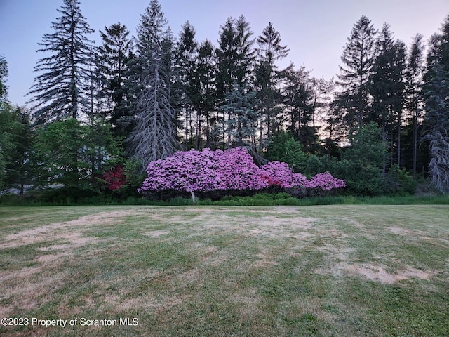 view of yard at dusk