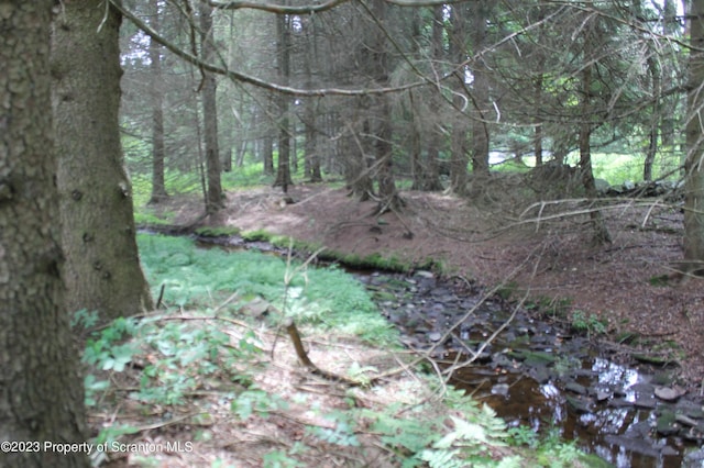 view of landscape