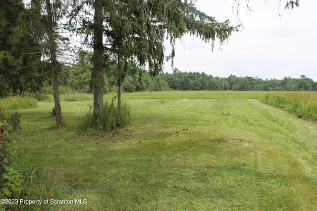 view of yard featuring a rural view