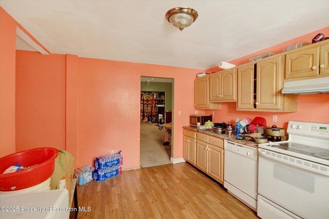 228 Pittston Ave, Scranton, PA 18505 - kitchen with white appliances, under cabinet range hood, light countertops, and light wood-style floors