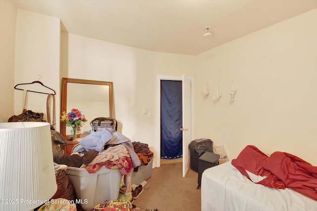 228 Pittston Ave, Scranton, PA 18505 - bedroom featuring light colored carpet
