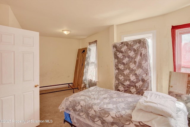 228 Pittston Ave, Scranton, PA 18505 - bedroom featuring carpet