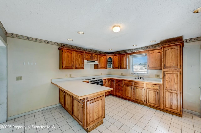 kitchen featuring under cabinet range hood, a peninsula, light countertops, and electric range