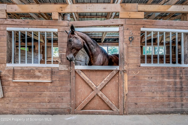 view of horse barn