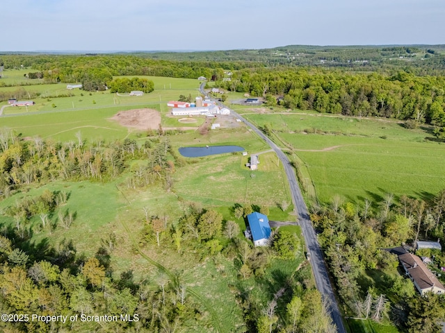 505 Yedinak Ln, Madison Twp, PA 18444 - aerial overview of property's location featuring a large body of water, a forest, and rural landscape