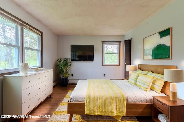 505 Yedinak Ln, Madison Twp, PA 18444 - bedroom featuring multiple windows, dark wood-style floors, and baseboard heating