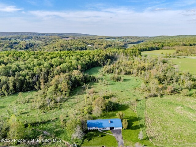 505 Yedinak Ln, Madison Twp, PA 18444 - aerial view of property's location featuring a forest
