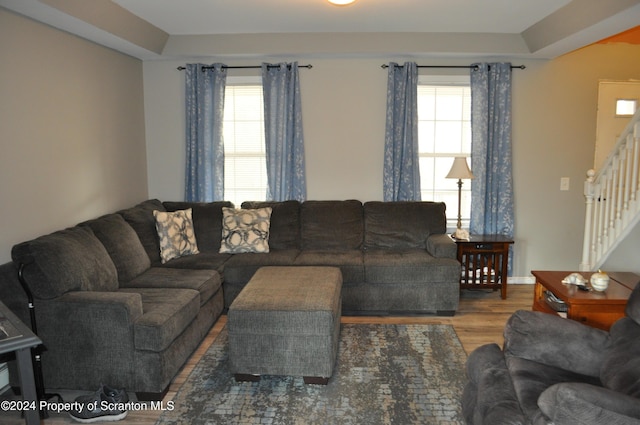 living room with hardwood / wood-style flooring, plenty of natural light, and a raised ceiling