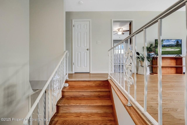 stairs with ceiling fan and wood finished floors