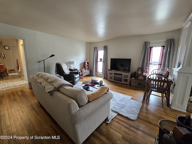 living room with hardwood / wood-style floors and plenty of natural light