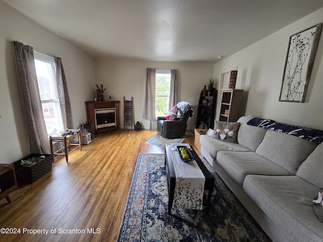 living room with hardwood / wood-style floors and a healthy amount of sunlight