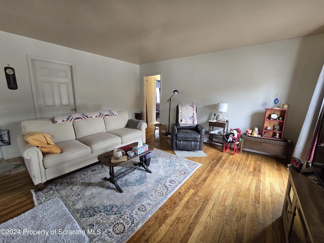 living room with wood-type flooring