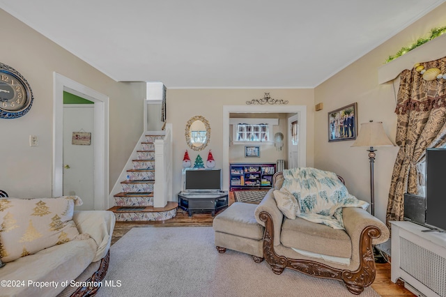 living room with radiator heating unit and light hardwood / wood-style flooring