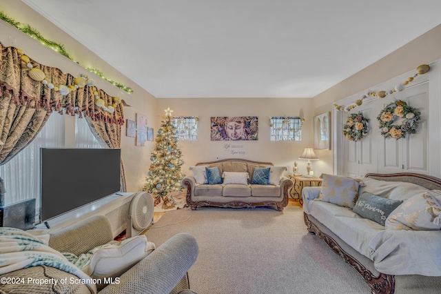 living room with carpet floors